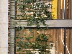 -富足堡SPA会所(深圳店)