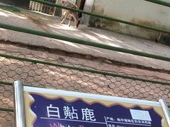 -广东茂名森林公园