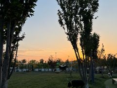 -爪吧宠物乐园·宠物泳池(温榆河示范区店)