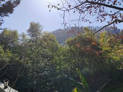 -莫干山风景区