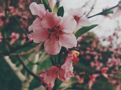 -驿舍·民國老营房院子私房菜(科学会堂店)