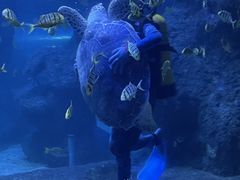 -左海海底世界