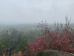 -北京凤凰岭