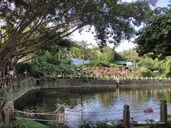 -三亚蜈支洲岛旅游区