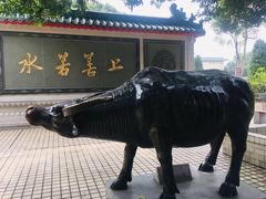 -广东圆玄道观