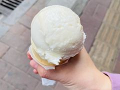 椰子雪糕-顺记冰室(宝华路店)