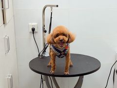 -美联众合24小时·皮肤科·外科·全科诊疗中心(华苑分院)