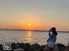 -宝安西湾红树林湿地公园