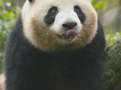 -H立方实景剧情密室(天河旗舰店)
