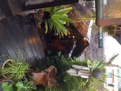 自然餐厅-自然餐厅(Phuket)