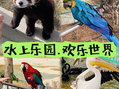 -水上乐园·欢乐世界
