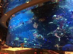 -迪拜帆船酒店海底餐厅