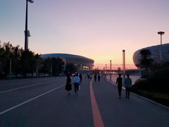 -大连体育中心体育馆