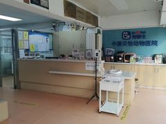 -宠颐生中康贝怡动物医院
