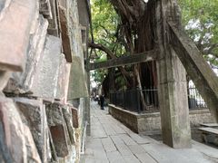 -小洲村