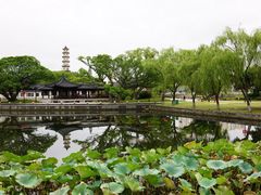 -江心屿景区