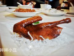 -利苑酒家(华熙国际店)
