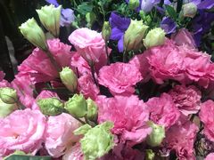 -谷莠子花艺气球派对·绿植造景·花艺沙龙(东海缤纷天地店)