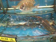 -渔中舟海鲜大排档(普陀沈家门店)
