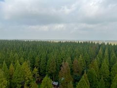 -黄海国家森林公园