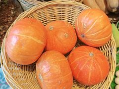 -福照楼汽锅鸡·云南菜(万达广场店)