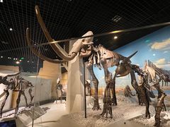 -国家自然博物馆