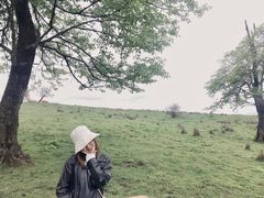 -硗碛藏寨·神木垒景区