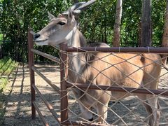 -大连森林动物园