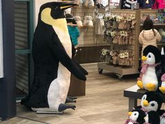 -企鹅岛