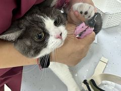 -美联众合动物医院·24h京西诊疗中心