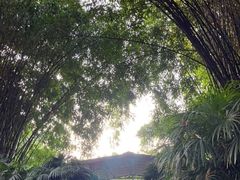 -望江楼公园