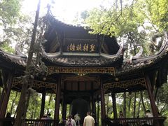 -峨眉山报国寺