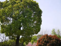 -南京市江宁方山