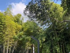 -苏州河梦清园环保主题公园