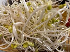 豆芽-刁姐火锅(五小区店)