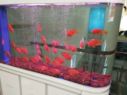 -成都军建医院·疤痕诊疗中心