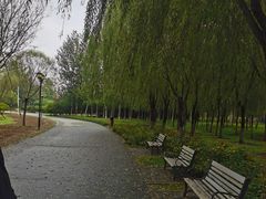 -永定河休闲森林公园