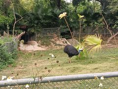 -深圳野生动物园