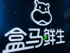 -盒马鲜生(和谐广场店)