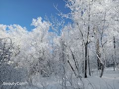 -雪谷