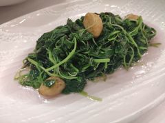 清炒苋菜-茗鼎汇(星方汇广场店)