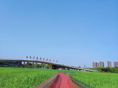 -西安浐灞国家湿地公园