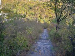 -南窖乡水峪村山情农家