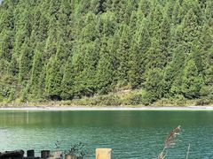 -武陵山森林公园