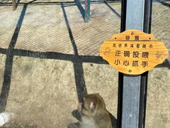 -北京鹿世界主题园