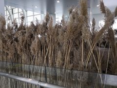 -银川河东国际机场