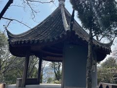 -香雪海