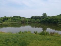 -盘龙城国家考古遗址公园