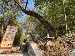 -千佛山风景名胜区