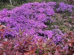 -山东省千佛山医院